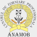 Centrul de Formare Profesionala ANAMOB intranet